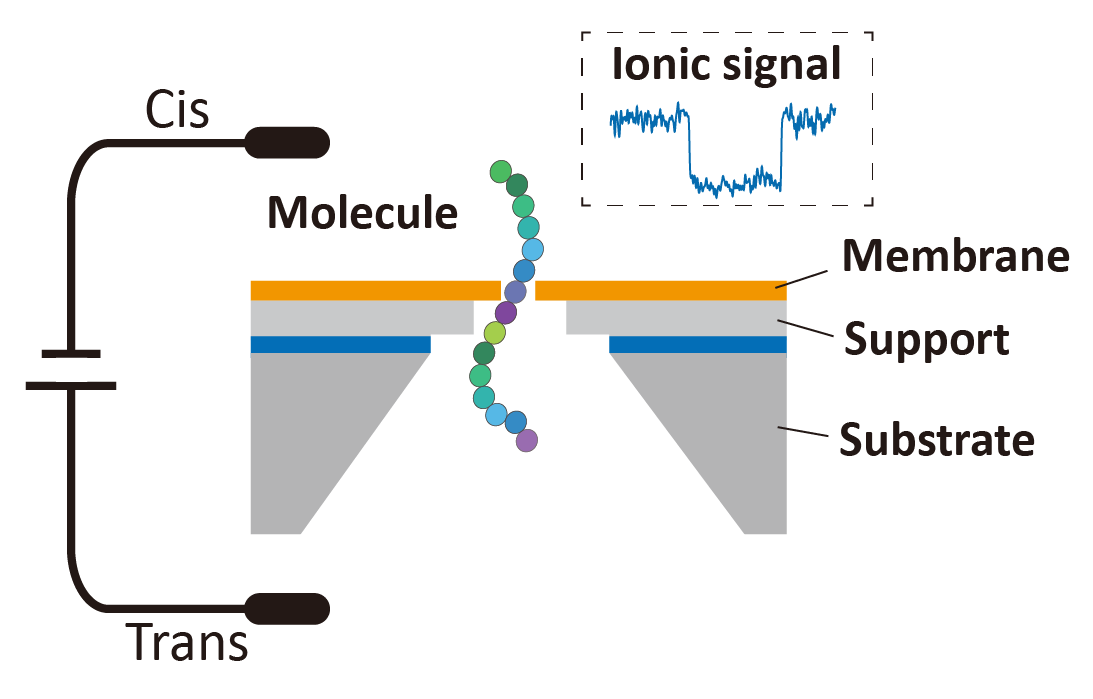 Nanopore Technology