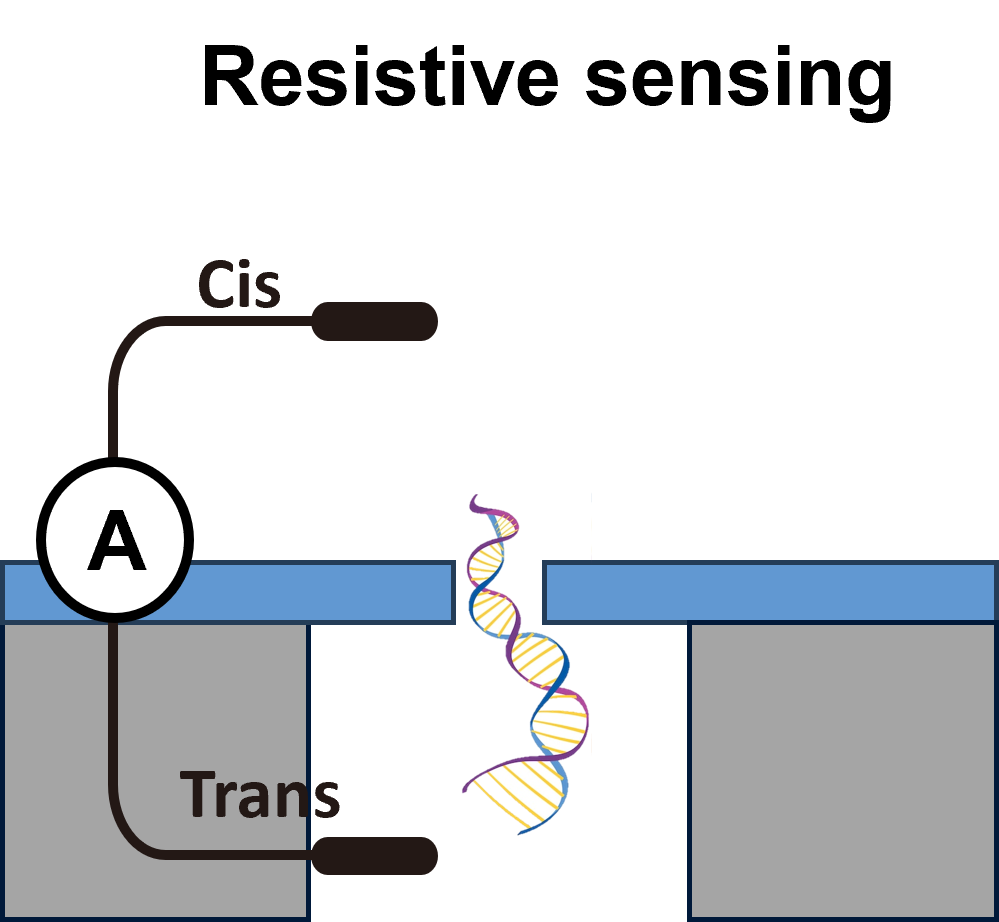 Ionic Current Sensing